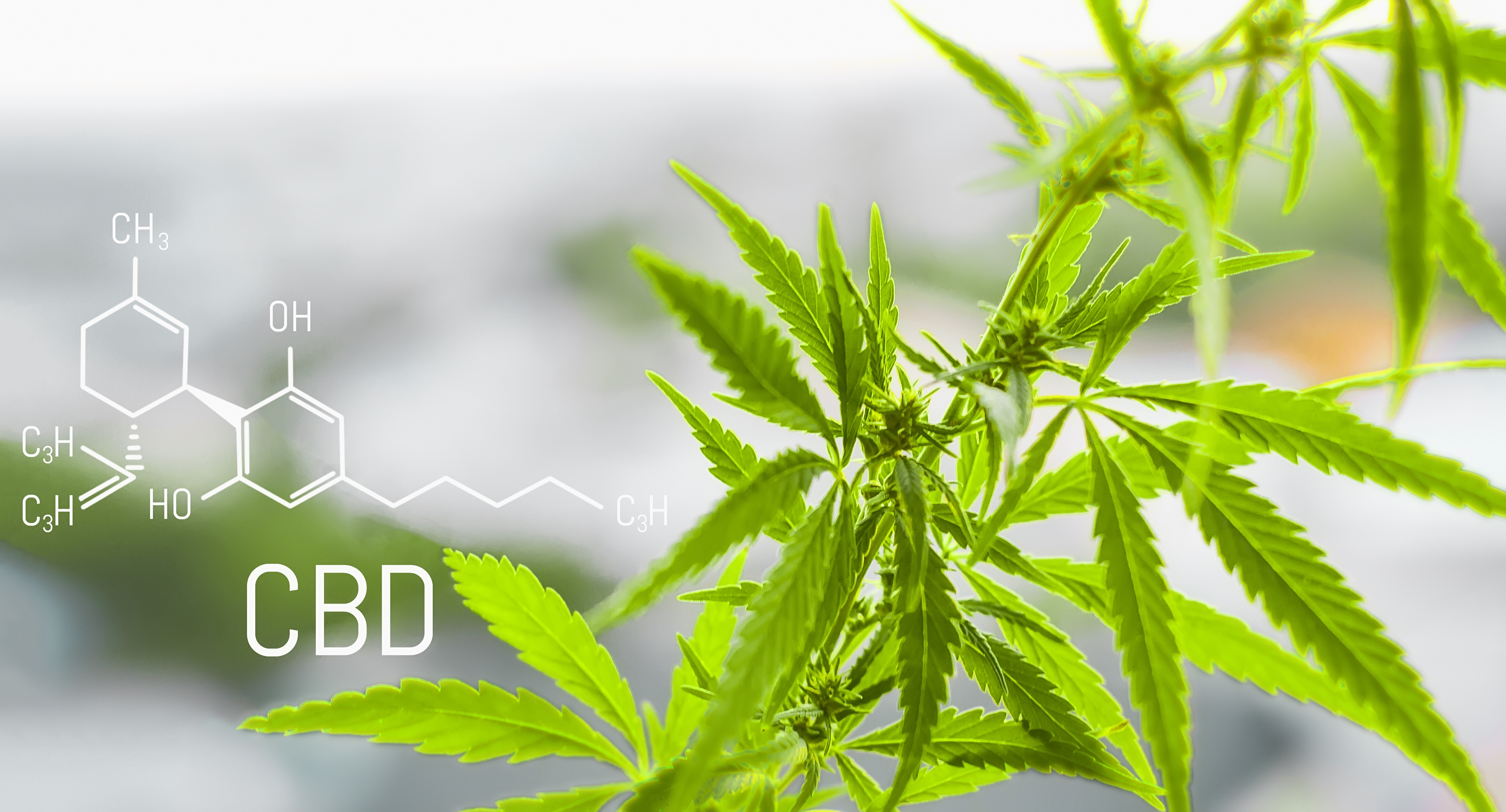 pharmacbdllc